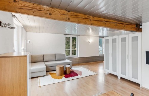 Dietikon District Apartamento | Cozy Studio Charm Sum
