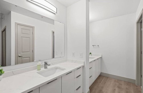 Charlotte Center City Apartamento | Sunny Green Apt - Walk everywhere!