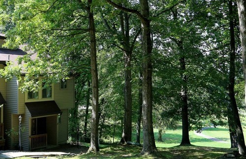 Cheat Lake Casa | Morgantown 2BR with Stunning Views