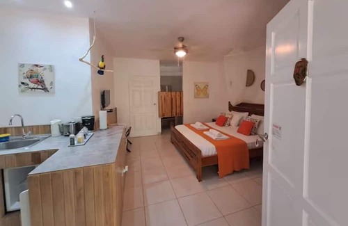 Tamarindo Apartamento | A large room for two fully equipped with a private terrace.