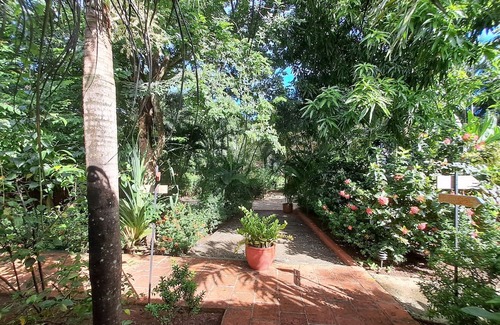 Tamarindo Apartamento | Mono studio