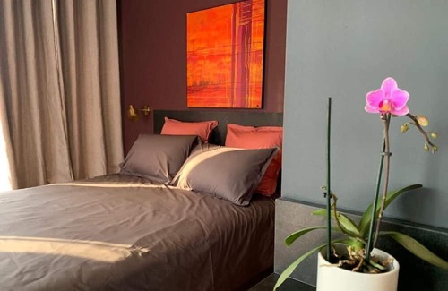 Vieille-Toulouse Apartamento | Studio Avec Vue sur Jardin