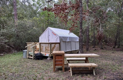 West Livingston Alquiler De RV | Tentrr State Park Site - TX Lake Livingston State Park - Site C - Single Camp