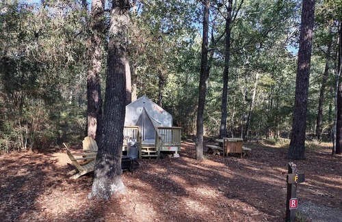 West Livingston Alquiler De RV | Tentrr State Park Site - TX Lake Livingston State Park - Site B - Single Camp
