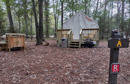West Livingston Alquiler De RV | Tentrr State Park Site - TX Lake Livingston State Park - Site A - Single Camp