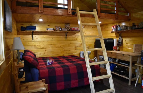 Bellis Cabina | RUGER RIDGE A Tiny Cabin, Off Grid In The Woods