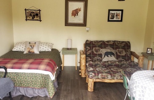 Nabesna Cabina | Wrangell Mountains Wilderness Lodge