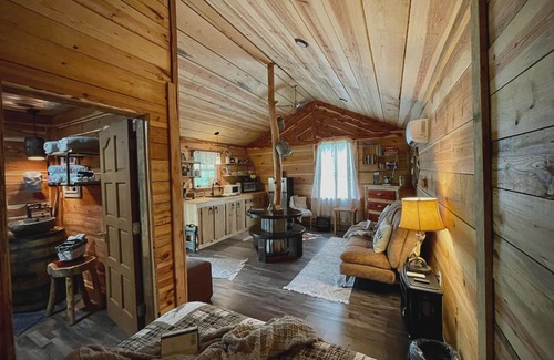 Caddo Gap Cabina | Lil' Rustic Retreat w/Hot Tub Near Little Missouri Falls and Caddo River
