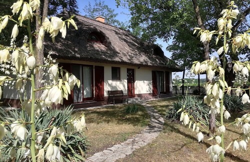 Orgovany Casa | 2 houses in the heart of nature with private pool