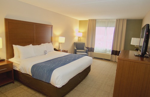 Dumfries Hotel | Comfort Inn Near Quantico Main Gate North