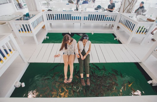 Ban Ta Khun Complejo | 500 Rai Floating Resort
