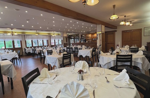 Saales Hotel | Hôtel l'Orée des Roches