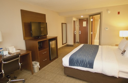 Dumfries Hotel | Comfort Inn Near Quantico Main Gate North