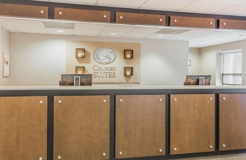 Mount Pleasant Hotel | Comfort Suites at Isle of Palms Connector