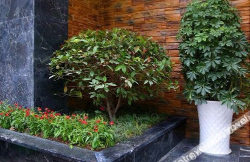 Yongding Cama Y Desayuno | Zhangjiajie RuiYuan Hotel - Zhangjiajie West Railway Station - Free Pick up