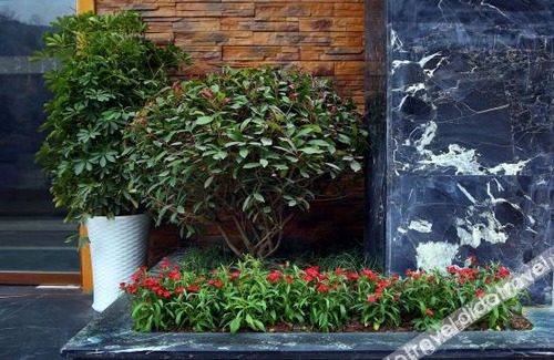 Yongding Cama Y Desayuno | Zhangjiajie RuiYuan Hotel - Zhangjiajie West Railway Station - Free Pick up
