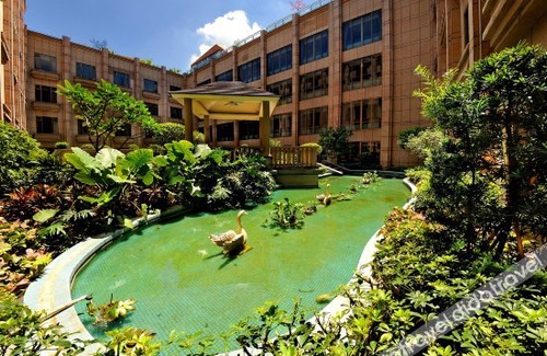 Duanzhou Qu Hotel | Zhaoqing International Hotel (Qixingyan Xinghu Scenic Area Branch)
