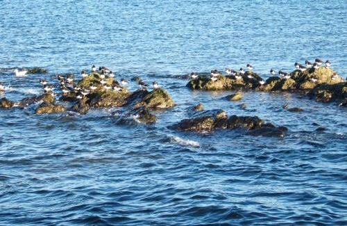 Port Seton Cama Y Desayuno | Anchorage B&B