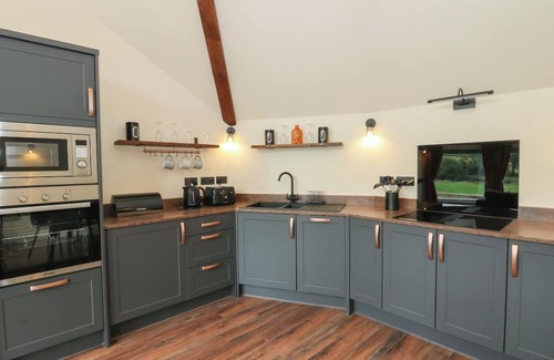 Cribyn Cabaña | Y CWLWM - THE CELTIC KNOT, pet friendly, with a garden in Lampeter