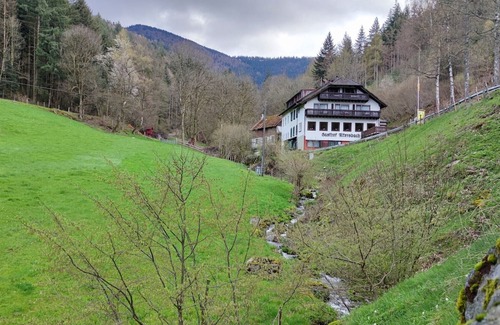 Waldkirch Apartamento | Apartment 'Kandelbleibe' with Balcony and Wi-Fi