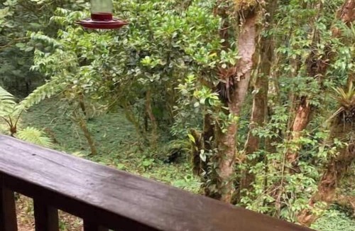Cerro Punta Apartamento | Eco-Cabin in Cerro Punta