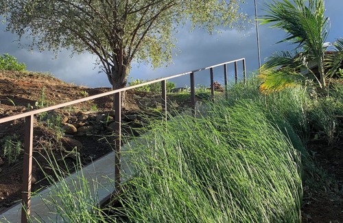 Esparza Casa | Connecting with nature