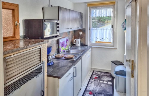 Schleusegrund Casa | Holiday home with balcony & garden Thuringia