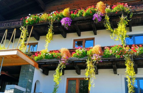 Muhlbach im Pinzgau Apartamento | Centrally located characteristic and modern