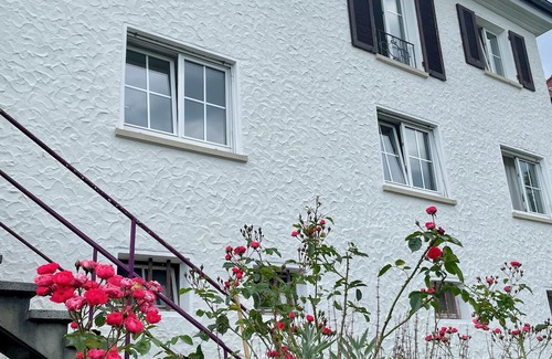 Hofherrnweiler Casa | Urban villa with sunny garden
