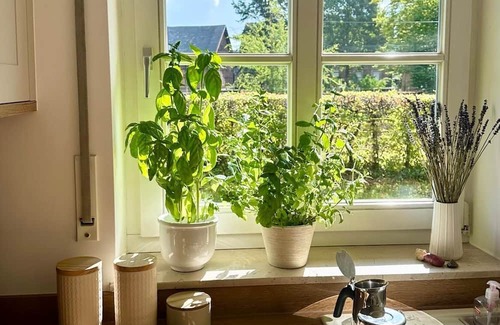 Munster Apartamento | Feel-good oasis near Münster - Quiet 120 sqm apartment!