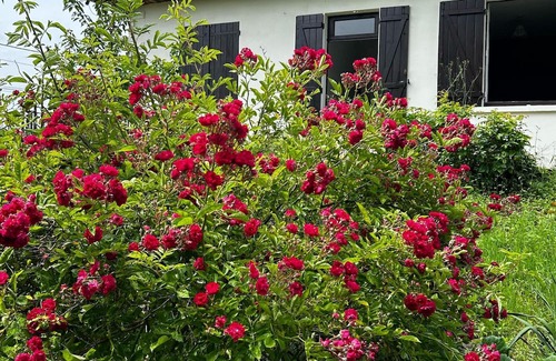 Les Houches Casa | L’Opporak, a country house near Auxerre