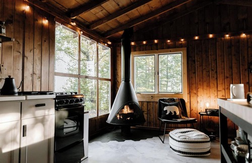 Sector 35 Cabina | Woodland Haven with Modern Comforts