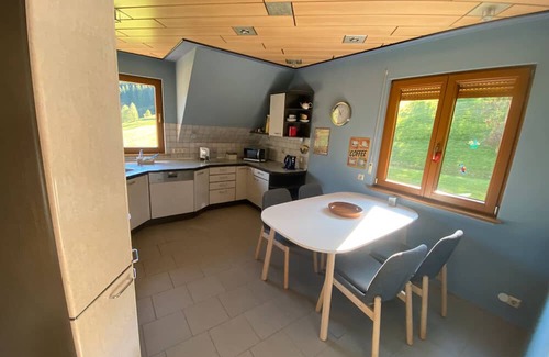 Bad Rippoldsau-Schapbach Apartamento | Apartment 'Ferienwohnung 3' with Mountain View, Shared Garden and Wi-Fi