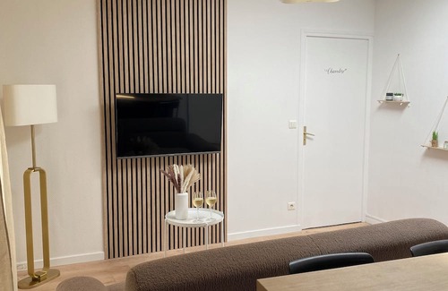 Le Puy-en-Velay Apartamento | ~ Cosy and Cocooning apartment ~ Downtown