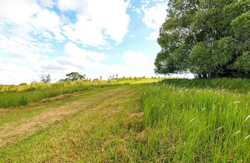 Pinbarren Cabaña | Shadowed by both Mt Cooroora and Pinbarren Mountain