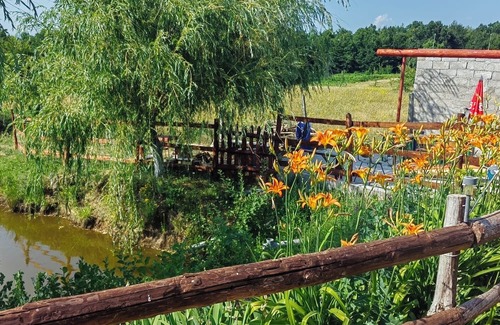 Butoiesti Chalet De Esquí | Charming 1-bedroom chalet in marvelous MH with WiFi