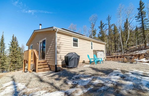 Indian Mountain Cabina | Off-Grid Forest Getaway w/WiFi on 4 Acres