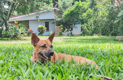 Penjamo Casa | Quinta Rincon Silvestre w/AC, WiFi & pool in lovely Peñas Blancas near V. Arenal