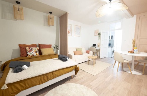 Romilly-sur-Seine Apartamento | Magnificent renovated Studio downtown 3pers wifi