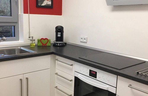 Mainz-Bingen Apartamento | Loft 3 - 65sqm/apartment, shower, WC - Oppenheim Lofts
