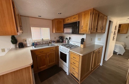 Gold Beach Cabina | The Black Bear Cabin #48