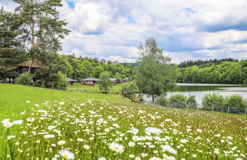 Meyrignac-l'Eglise Casa | Accès direct au lac | Chalet mitoyen + Terrasse