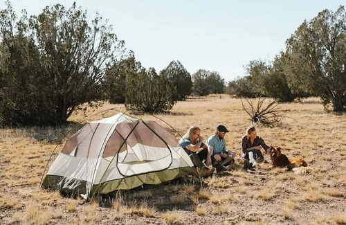 Chambers Alquiler De RV | Site 2 off grid Campsite Near Petrified Forest