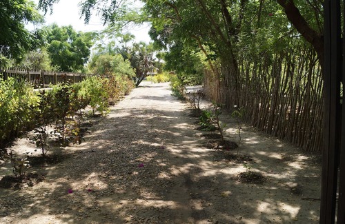 Menabe Cama Y Desayuno | To rent superb T1, in a quiet environment, close to the sea