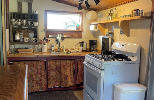 Grass Valley Cabina | Charming 1-bedroom Cabin in the Forest Nevada City with AC, WiFi