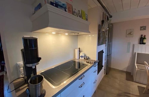 Immenstedt Apartamento | Koopmanns-Hus Extraordinary-Hyggelig-under a thatched roof for 2 persons