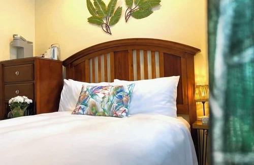 Provincetown Cabina | A Departure From the Ordinary: Our Tropical Escape