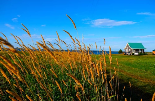 Hamilton Cabina | Private, relaxing seaside retreat. Fun outdoor amenities for everyone.