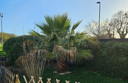 Les Sorinieres Casa | Chez Audrey