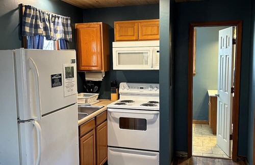 Springmaid Mountain Cabaña | Pet Friendly Cottage in Spruce Pine NC